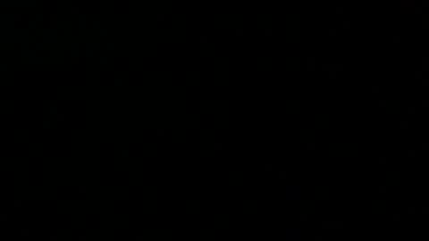 Peter online show from 02.23.25