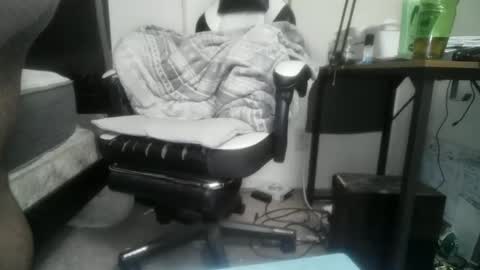 11inchtattedtrinibad online show from 02.17.26