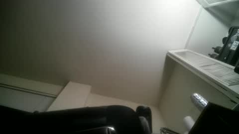 Snapshot of 11inchtattedtrinibad chatting on 03.24.26 11inchtattedtrinibad online show from 03.24.26