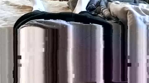 1injecttoys_ online show from 03.07.26