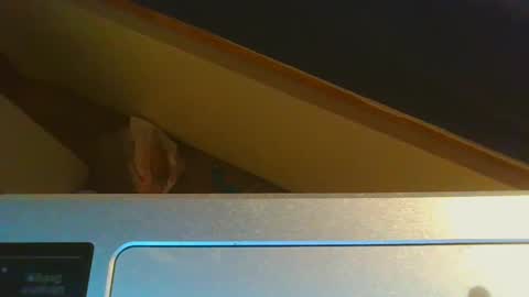 Snapshot of 1lovenaturals chatting on 12.15.24 Jason online show from 12.15.24