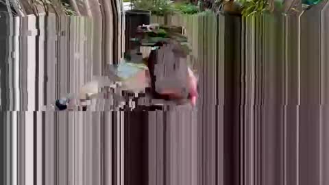 BiHungThickCock69 online show from 03.02.26