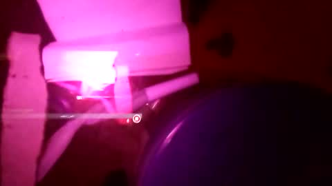 1st___ online show from 11.25.25