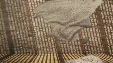 2hairrypigs online show from 01.31.26