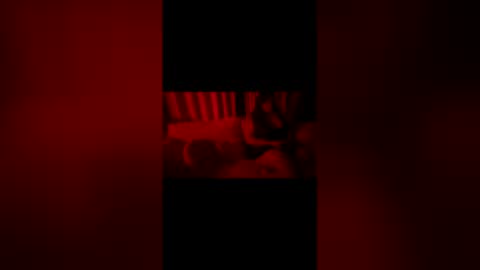 2littlefox online show from 06.07.26