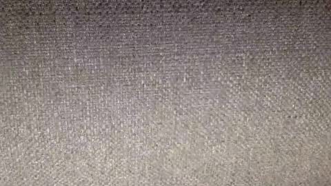 30nick online show from 02.12.26