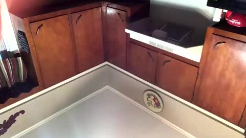 33adidas online show from 11.08.25