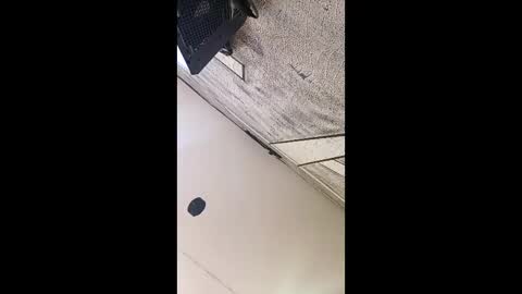 Snapshot of 3x_naxa chatting on 03.03.26 3X NAXAA online show from 03.03.26