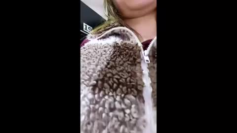 3X NAXAA online show from 03.22.26