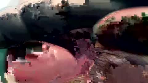 Snapshot of 420_johnnystamina chatting on 02.15.25 420_johnnystamina online show from 02.15.25