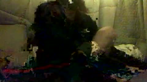 420alwayshard online show from 04.19.26