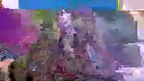 4nuf online show from 01.15.25