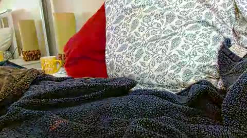 Daddy online show from 01.31.26