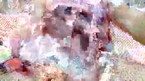 5o5i5ka online show from 10.28.25