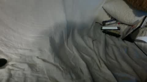 Snapshot of 69ass_tastic chatting on 01.29.25 Chris online show from 01.29.25