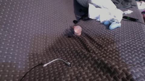 Snapshot of 69ass_tastic chatting on 03.02.25 Chris online show from 03.02.25