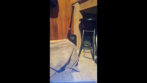 Snapshot of 69vz69 chatting on 03.08.26 69vz69 online show from 03.08.26