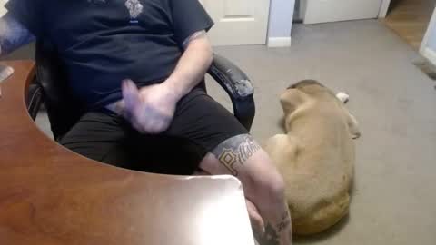 MASTIFF online show from 01.16.26