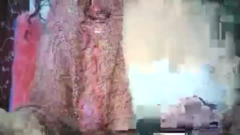 Lilu online show from 02.15.26