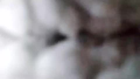 Snapshot of 88piterr88 chatting on 02.17.25 88piterr88 online show from 02.17.25