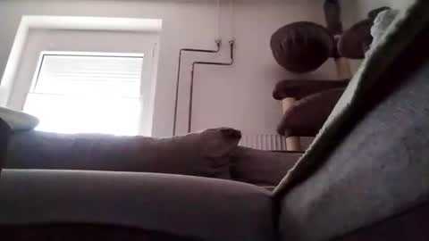 Snapshot of 88piterr88 chatting on 02.24.25 88piterr88 online show from 02.24.25