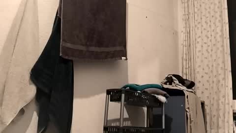 Snapshot of 88piterr88 chatting on 02.25.26 88piterr88 online show from 02.25.26