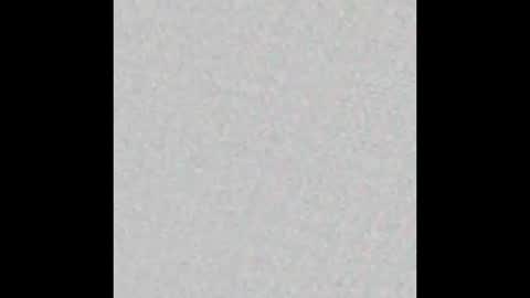 8Inchpunkpup online show from 03.27.26