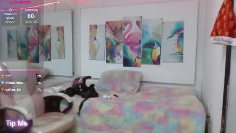 _alegriamartinez_ online show from 02.19.25