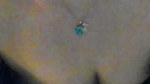 Sofia  online show from 04.07.26