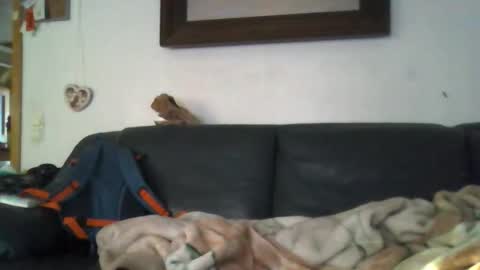 b0rn4porn online show from 04.27.26