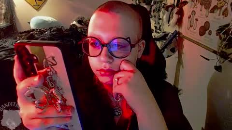 bandit online show from 03.07.26