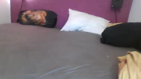 _bertl_ online show from 10.25.25