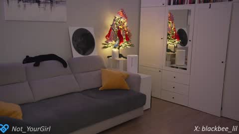 Snapshot of _blackbee_ chatting on 12.11.24 Lili online show from 12.11.24