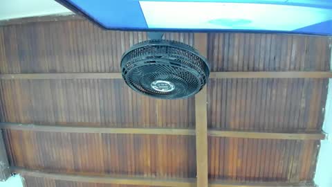 Candy online show from 11.21.25