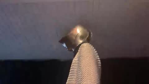 Snapshot of _goodknight chatting on 02.03.25 GOODKNIGHT online show from 02.03.25