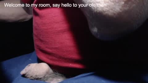 Snapshot of _jimmini chatting on 02.21.25 _jimmini online show from 02.21.25