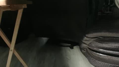 _jimmini online show from 12.14.25