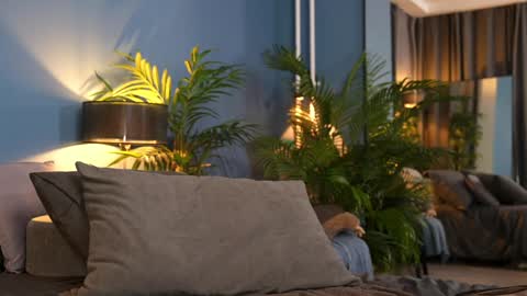 FANSLY ---   anal in private 700 tokens online show from 11.01.25