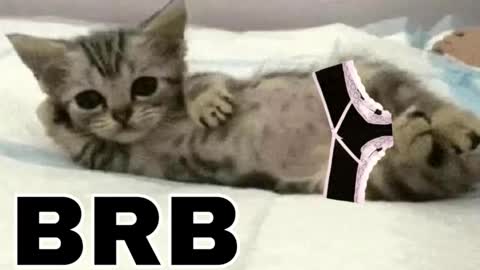 miko3 online show from 02.01.26