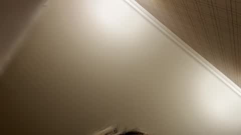 Snapshot of _morpho_ chatting on 12.21.25 Francine Aisi Morpho - a genus of blue butterflies. online show from 12.21.25