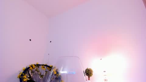 Snapshot of _samsexy_ chatting on 02.07.25 Sam --- next stream 1 dic food and vino show . online show from 02.07.25