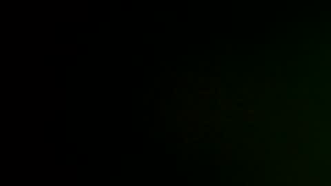 Snapshot of _spider_dick_ chatting on 02.09.25 Alejandro Pinzon online show from 02.09.25