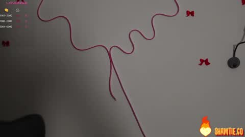 Snapshot of _taylor_swift chatting on 02.15.25 Taylor online show from 02.15.25