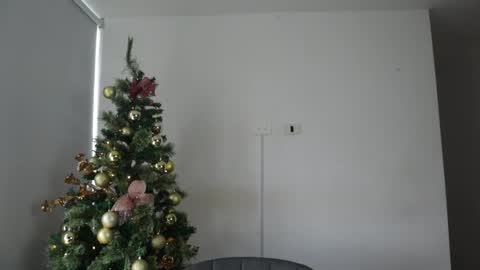 Anastasia Vahos online show from 12.30.24