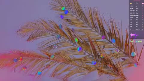 Ally online show from 03.06.25