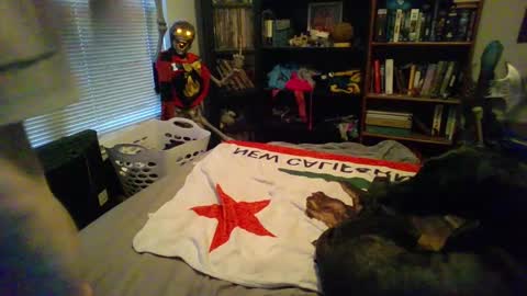 Snapshot of a_bored_dragon chatting on 03.11.25 A Bored Dragon online show from 03.11.25