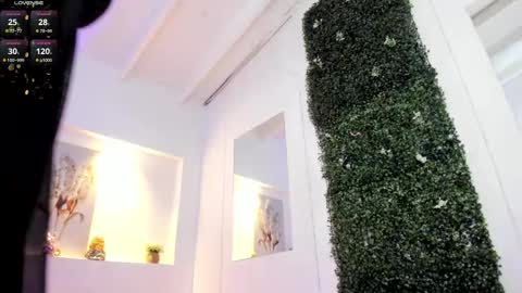 Abby  online show from 02.11.25