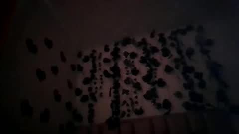 abby_moss_2 online show from 04.08.26