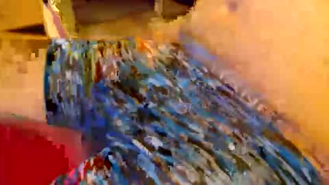 abigspermdonor online show from 01.13.26