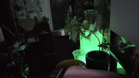 abracadanny777 online show from 03.23.26